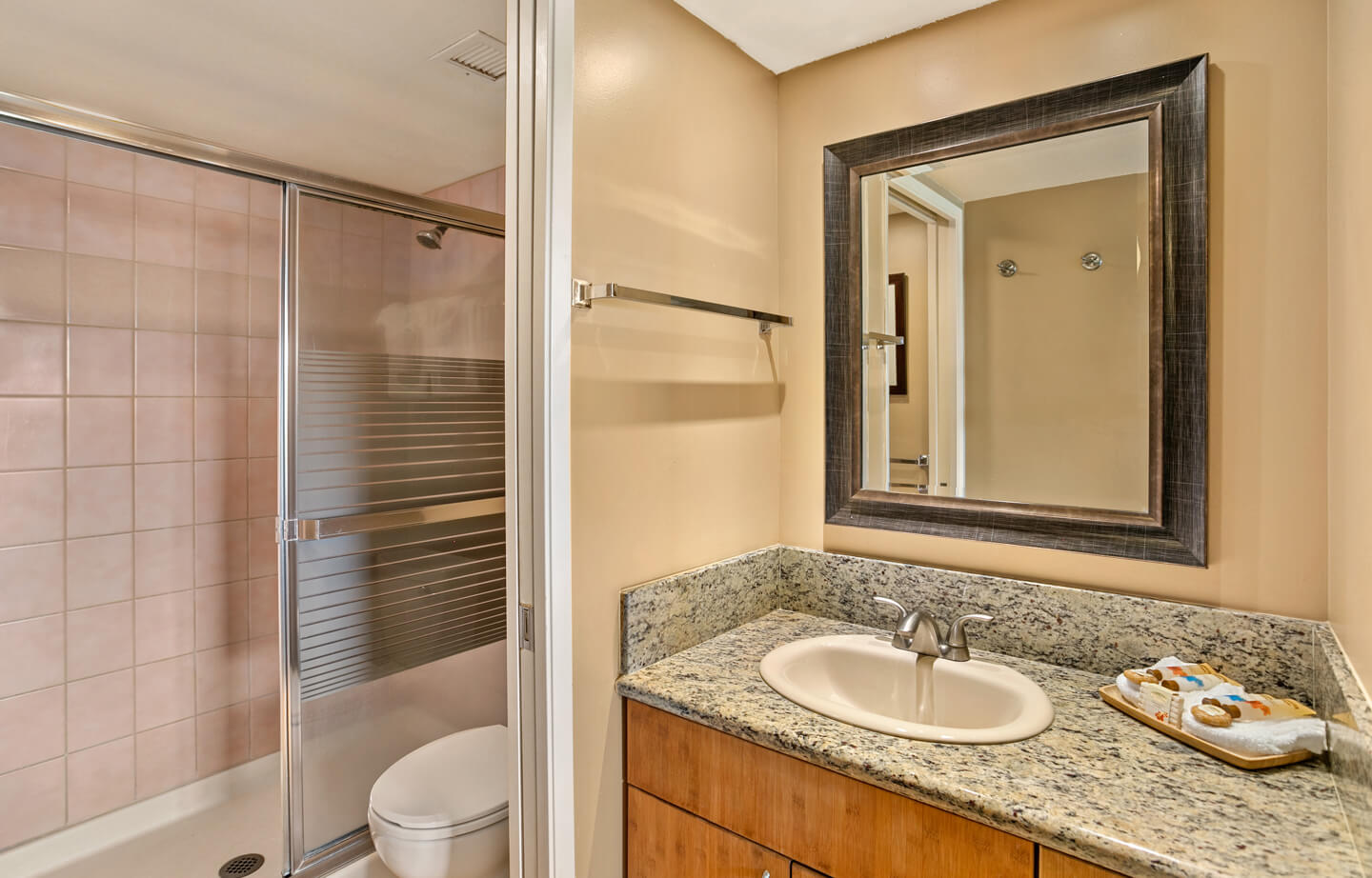 Bathroom sink, counters, toilet, shower.