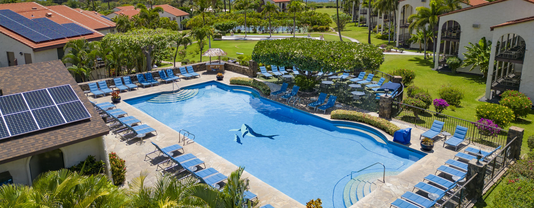 Pool at the Maui Hill lined with blue padded lounge chairs, palm trees and tropical plants, a little thatched hutch and the crystal blue ocean in the horizon.