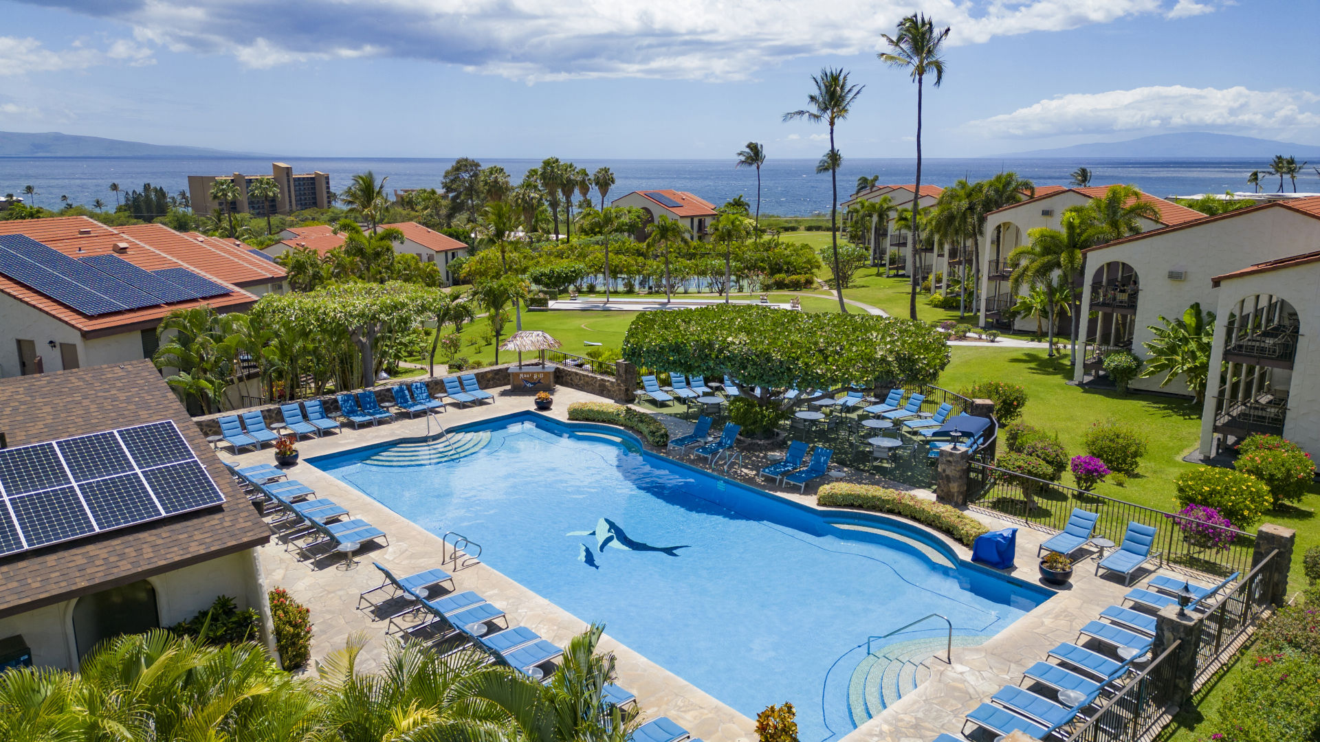 Property view of Maui Hill showing pool, lounge chairs, trees and plants, buildings and ocean in the background.