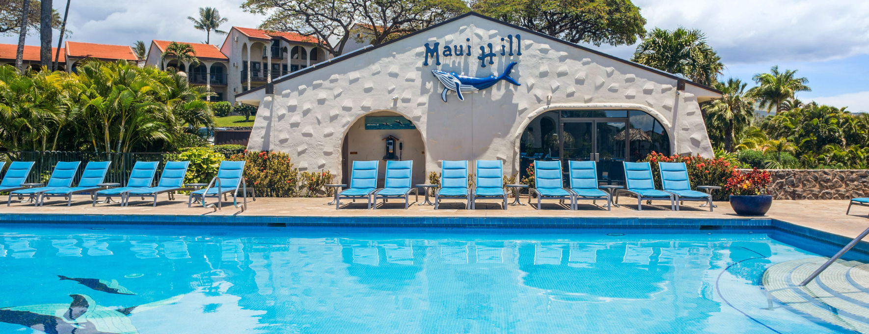 Pool at the Maui Hill with padded blue lounge chairs with the lobby exterior and lush trees in the background 