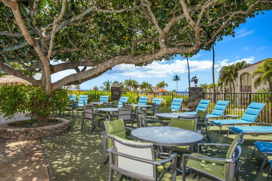 Seating area under a tree near the pool deck to give lots of shade while outdoors