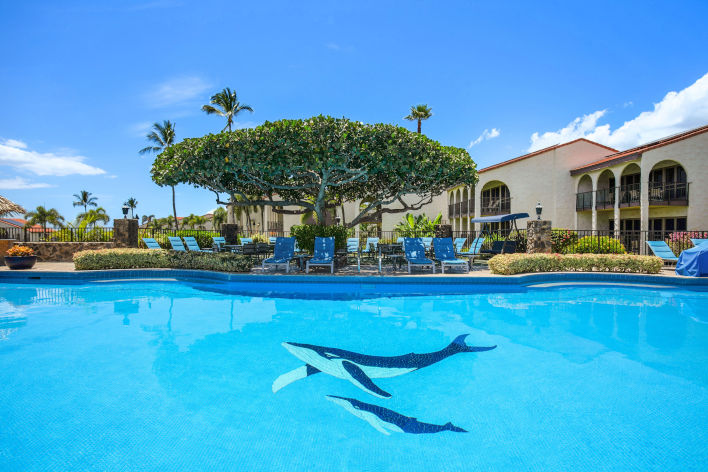 Swimming pool with lounge chairs under a big lush tree