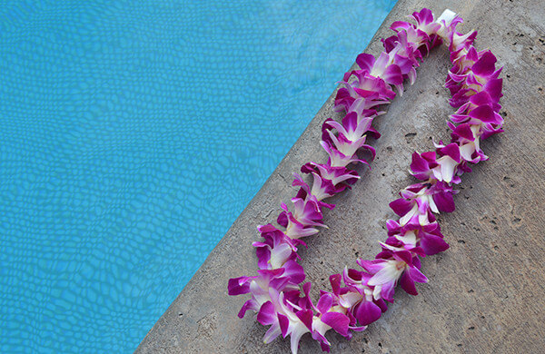 Lei on poolside.