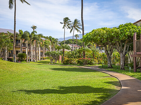 Resort Grounds and Ocean View