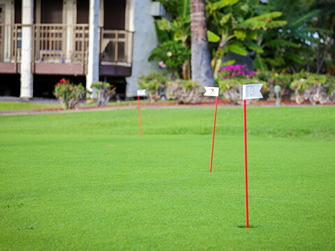 Resort Grounds and Putting Green