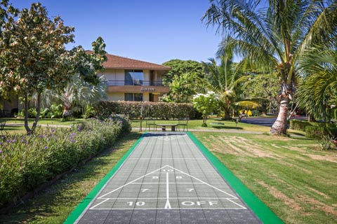 Shuffleboard