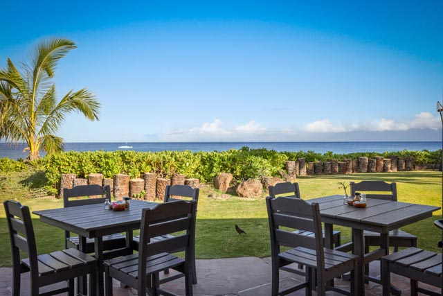 Lanai and Lawn Area Seating