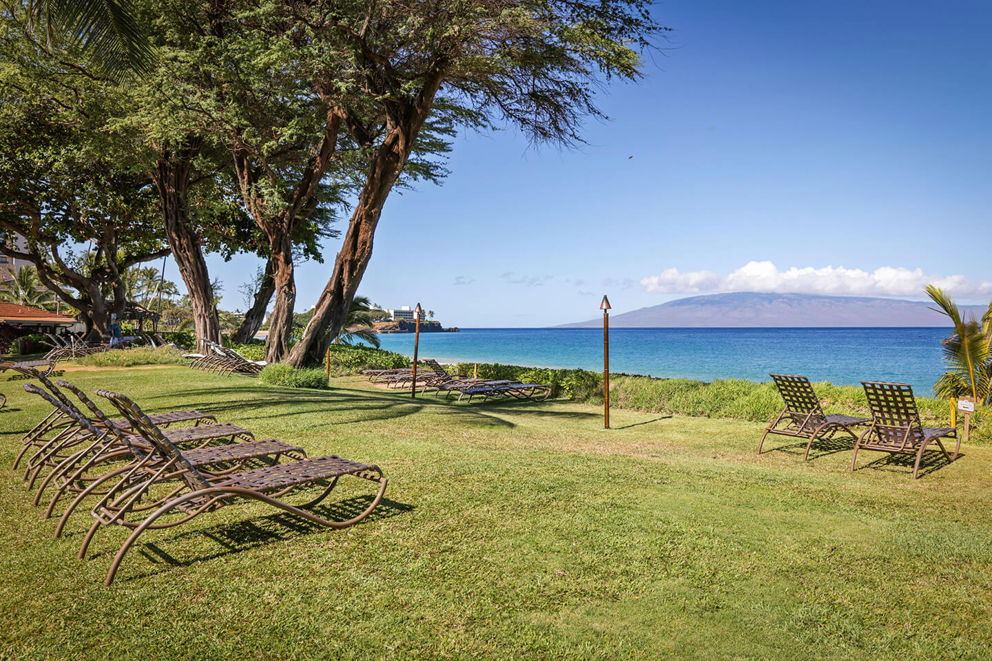Lounge Chairs on Oceanfront Lawn