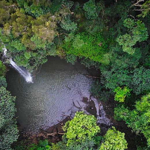 Waterfall on Maui