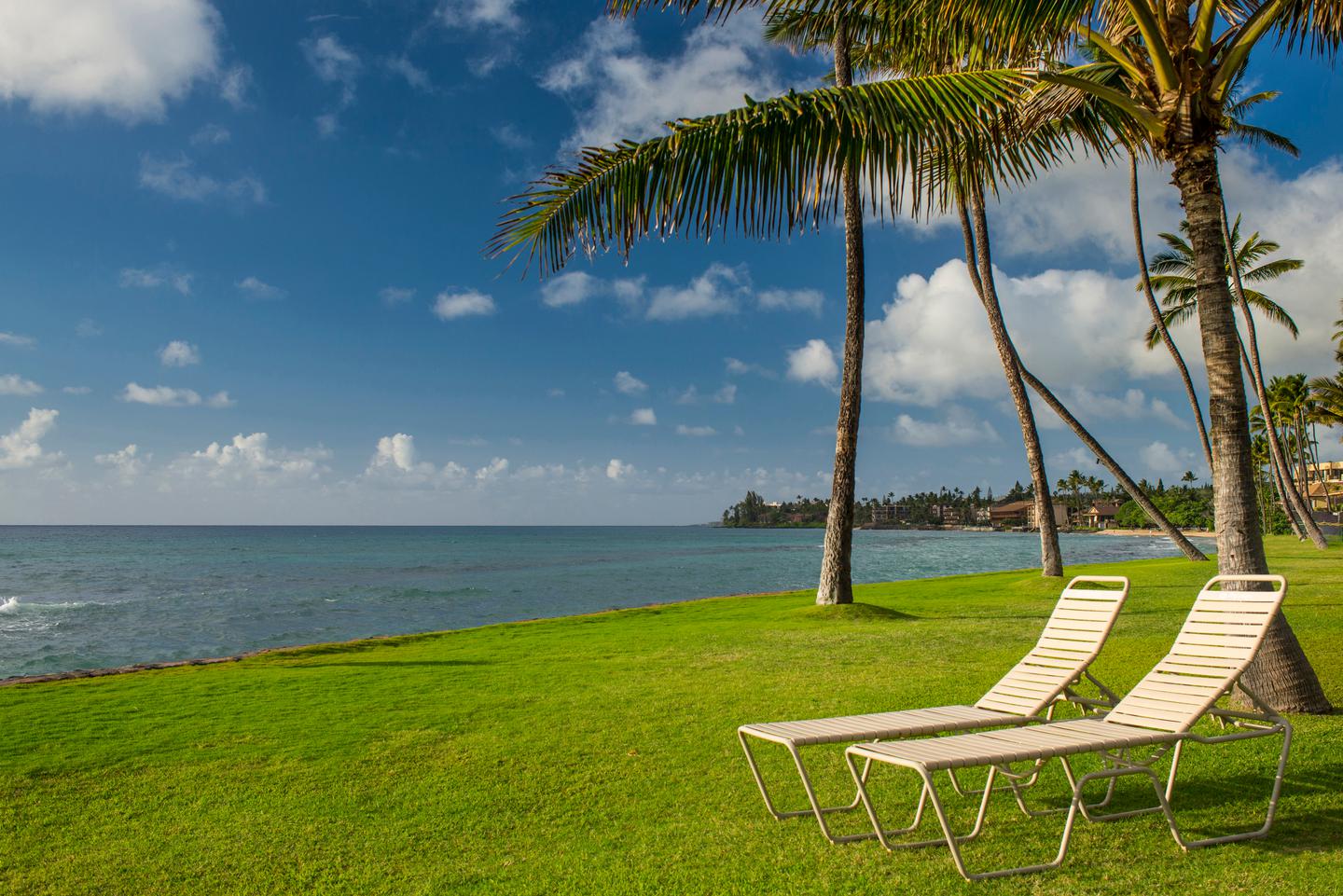 Loungers on oceanfront lawn.