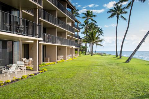 Oceanfront Lawn