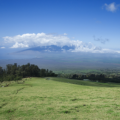 Upcountry Maui Hawaii