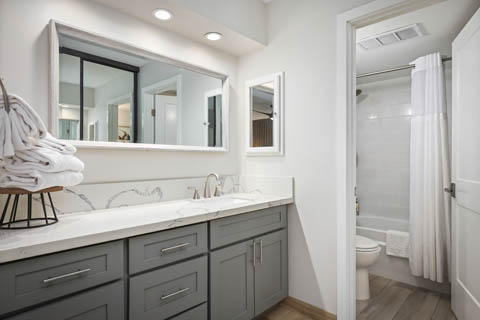 Two Bedroom Ocean View Bathroom