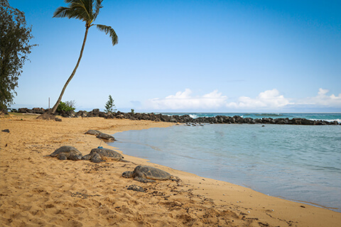 Beach