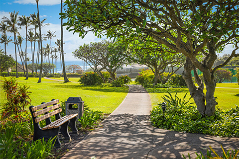 Resort grounds