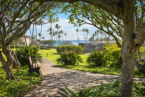 Resort grounds