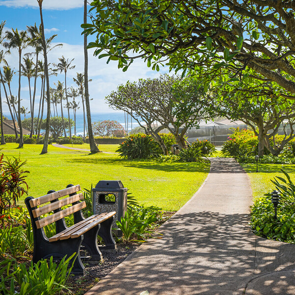 Bench and walking path.