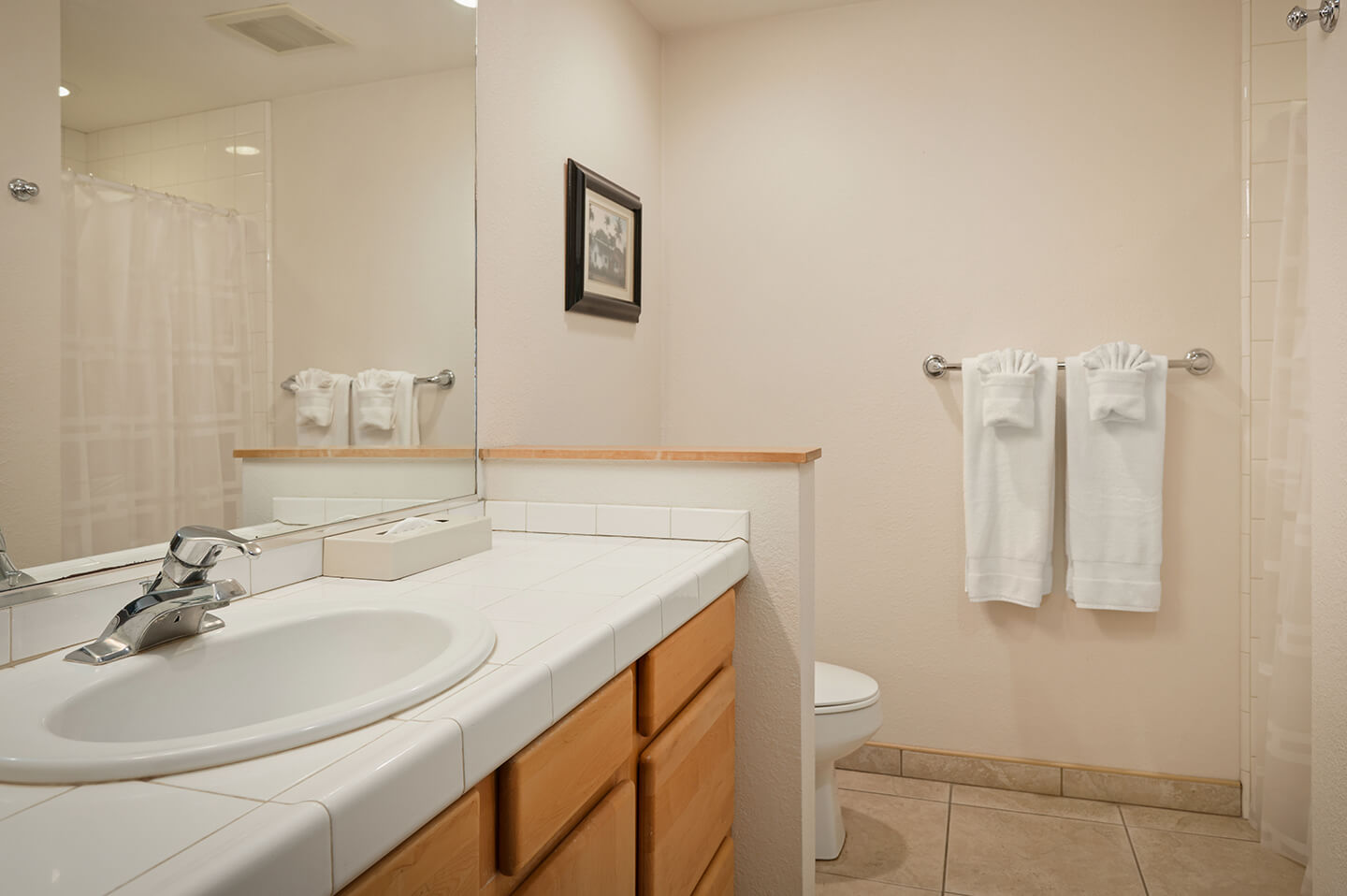 Bathroom sink, counters, toilet, shower.