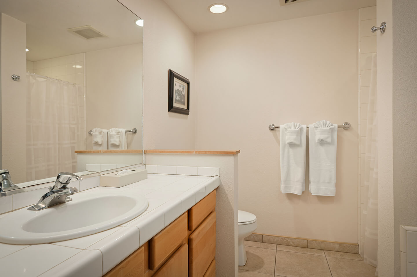 Bathroom sink, counters, toilet, shower.