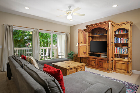Living area with couch, table, TV, bookshelf