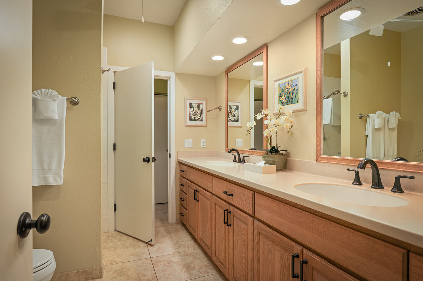 Bathroom with counter, 2 sinks, toilet.