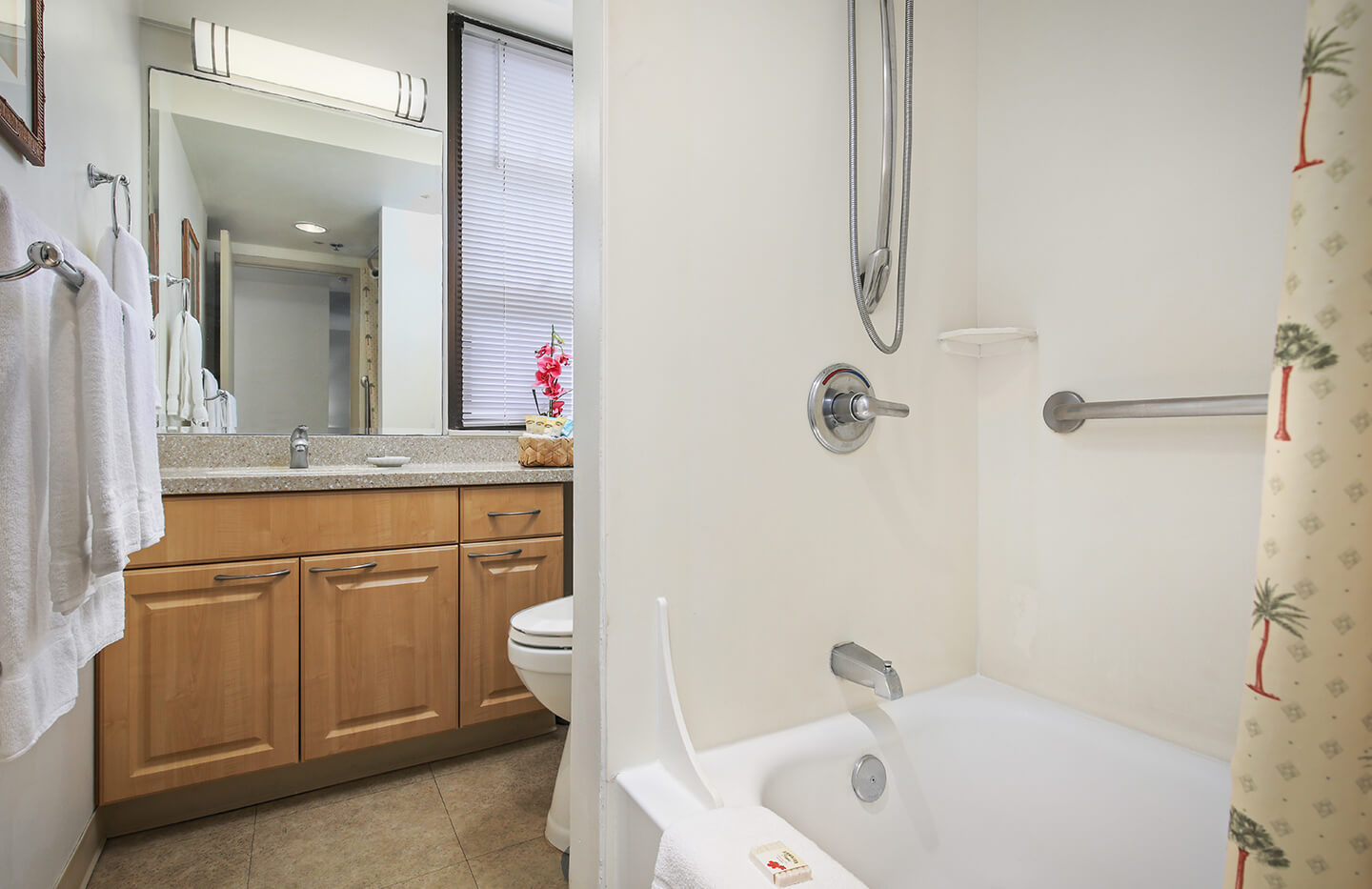 Two-Bedroom Ocean View Bathroom.