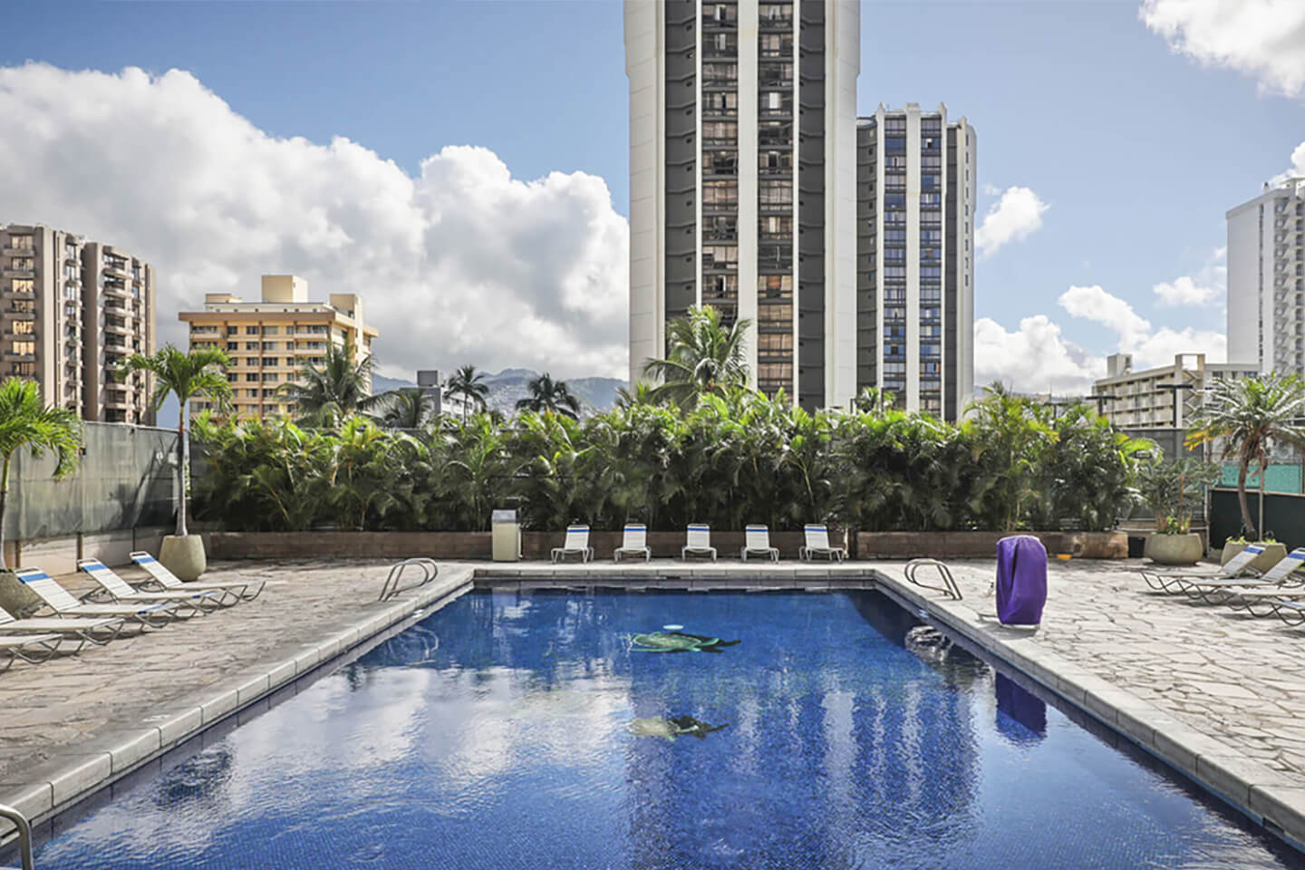 Swimming Pool and Sun Deck
