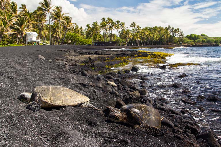 Punaluu-Black-Sand-Beach-768.jpg