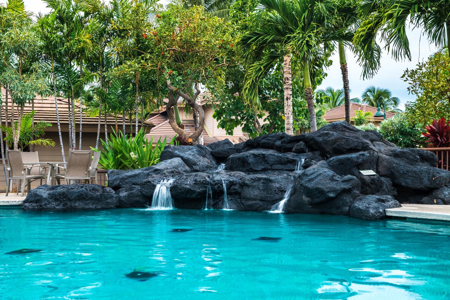 Pool and water feature