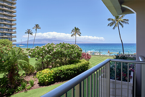 View from Studio Ocean View Lanai
