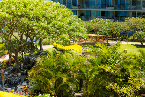 Resort Gardens