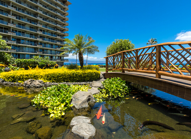 Garden Koi Pond and Bridge