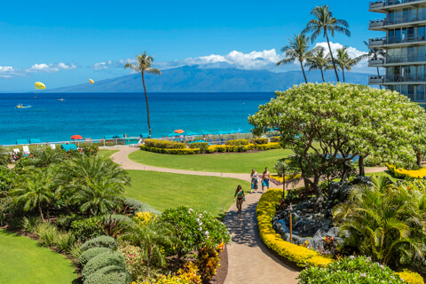 Resort Grounds