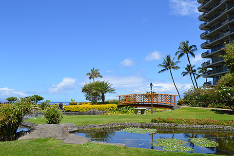 Resort Garden