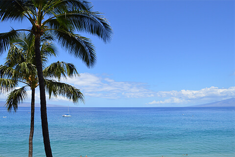 View of Ocean from the Resort