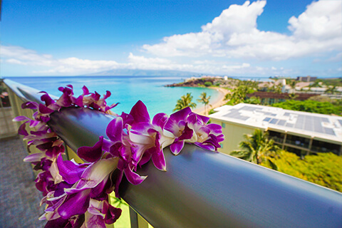 View from the Resort