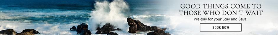Good things come to those who don't wait. Prepay for your stay and save! Book now.
