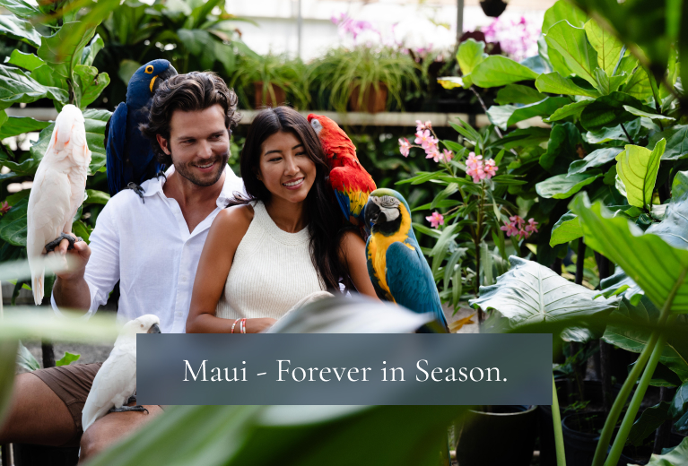 Maui — Forever in Season.