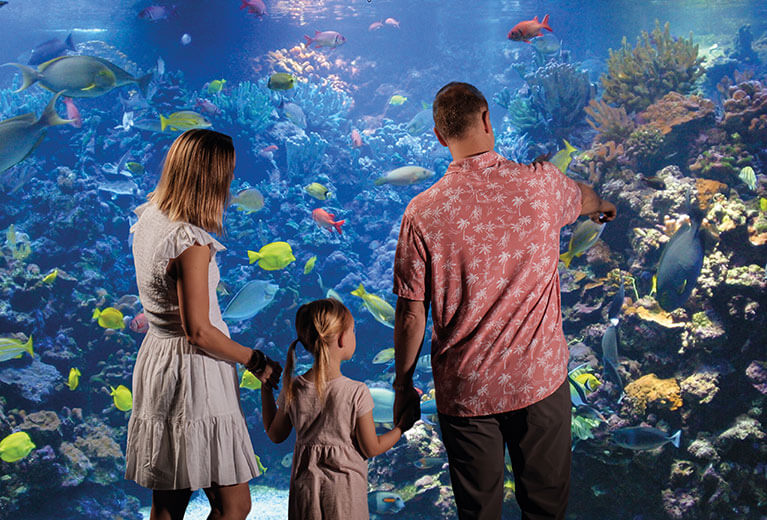 Family viewing large aquarium with tropical marine life.