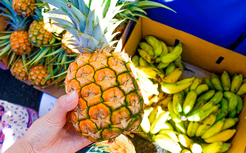 Hand holding a pineapple