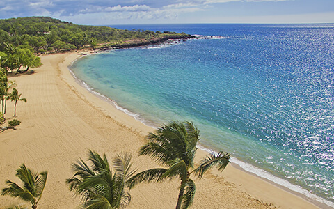 Aerial view of sandy beach