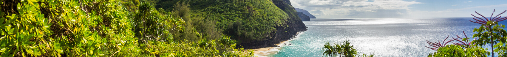 Aerial view of cliffside and trails