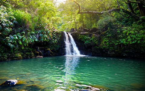Waterfall into pond