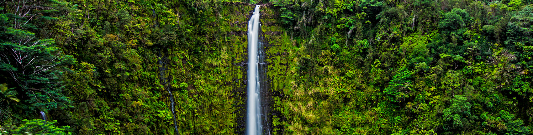 akaka falls