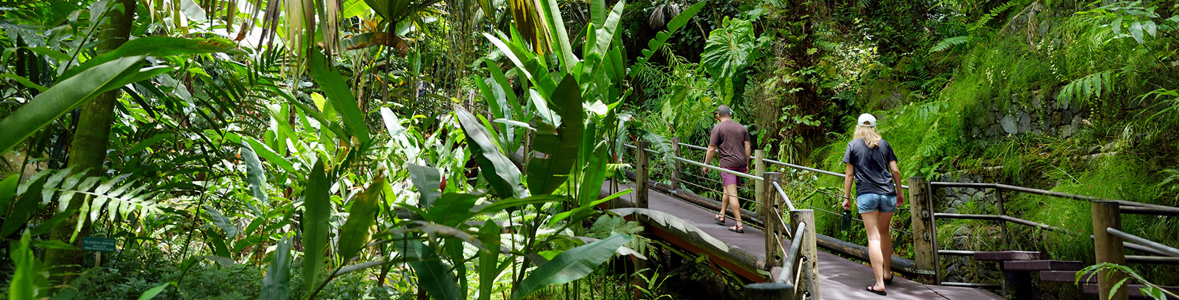Hawaii Tropical Botanical Garden
