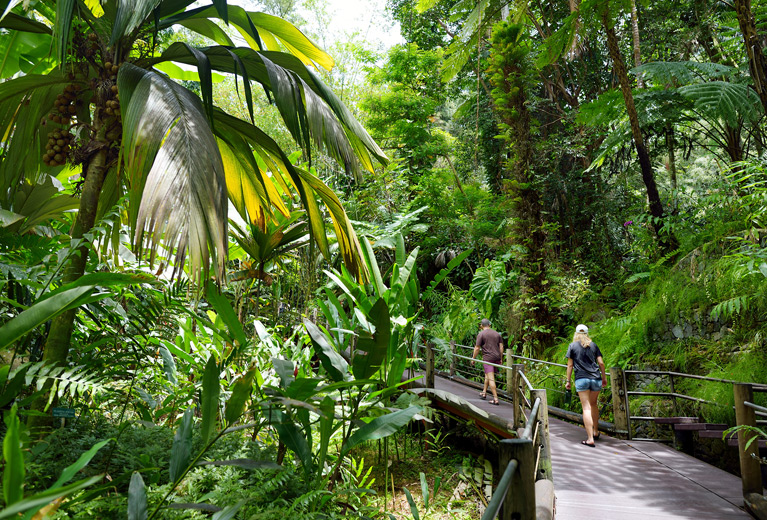 Botanical garden