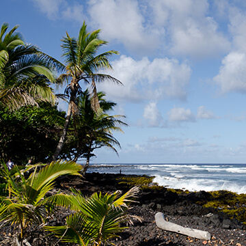pohoiki-beach-2-360X360.jpg