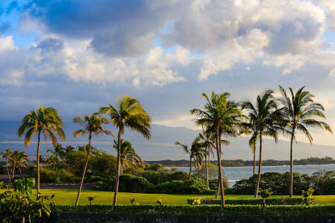 HawaiiIsland_Volcano_Golf_480.jpg