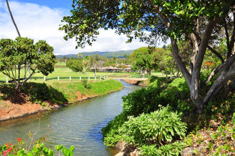 Maui_Kaanapali_Golf480.jpg