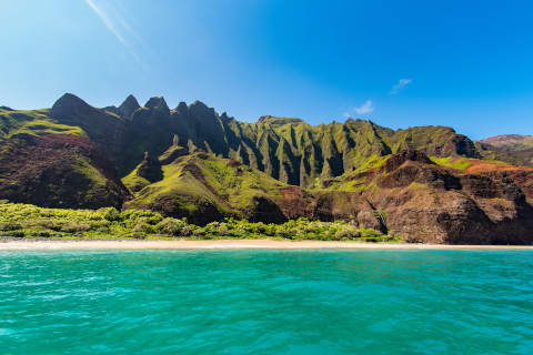 remote-beauty-480x320-1.jpg
